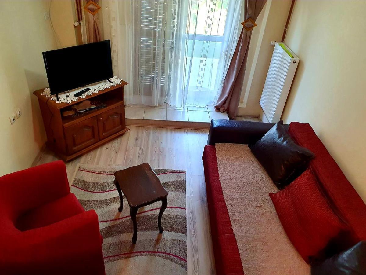 Apartman Sergej 2 Διαμέρισμα Soko Banja Εξωτερικό φωτογραφία