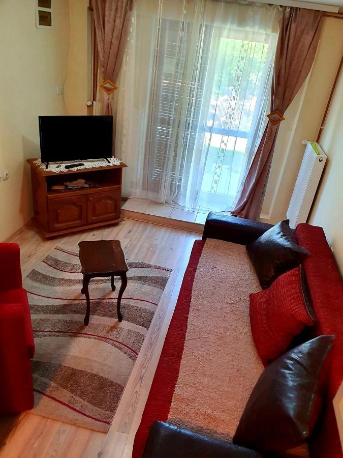 Apartman Sergej 2 Soko Banja Εξωτερικό φωτογραφία