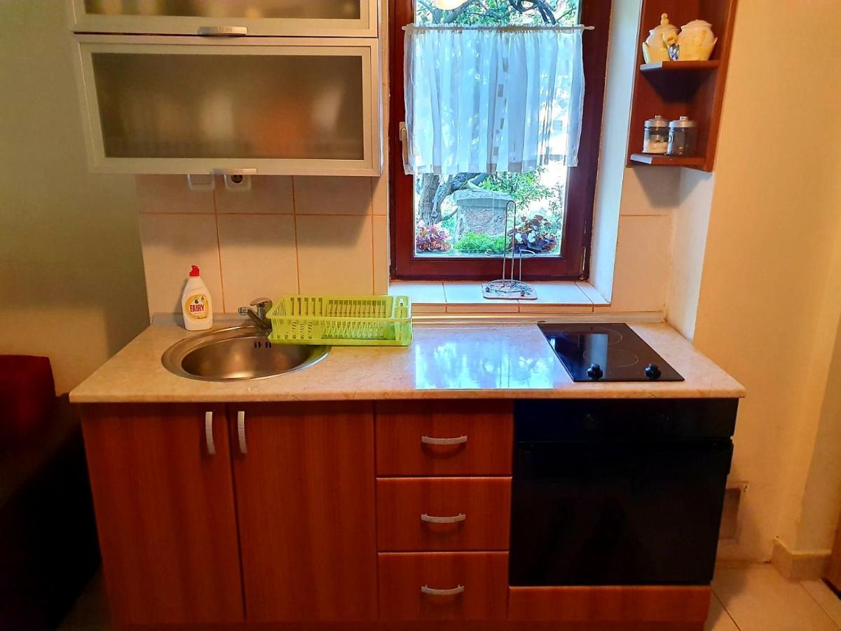 Apartman Sergej 2 Διαμέρισμα Soko Banja Εξωτερικό φωτογραφία